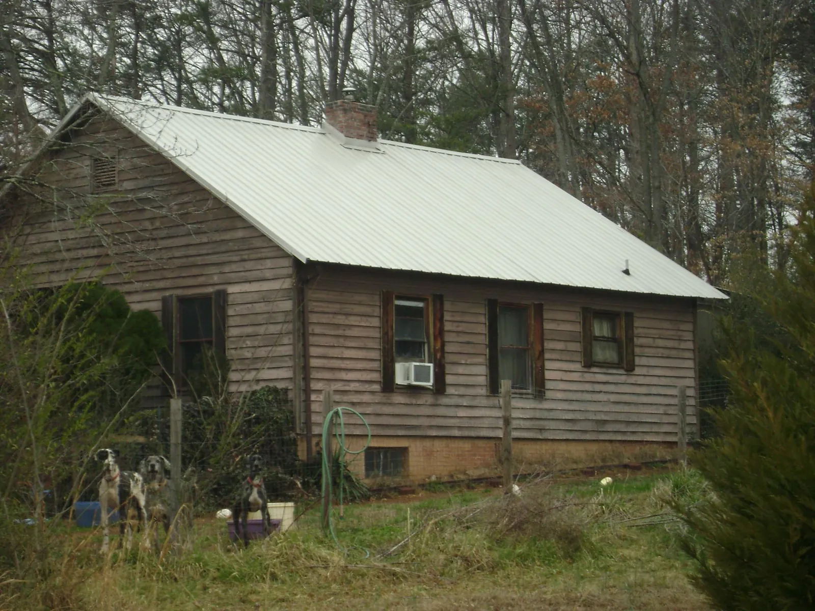 White metal roof on an old wood sided farmhouse, from a Asphalt Shingle Roof Repair job in Ronco